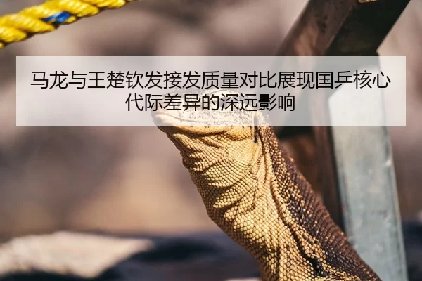 马龙与王楚钦发接发质量对比展现国乒核心代际差异的深远影响