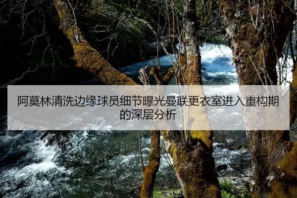 阿莫林清洗边缘球员细节曝光曼联更衣室进入重构期的深层分析
