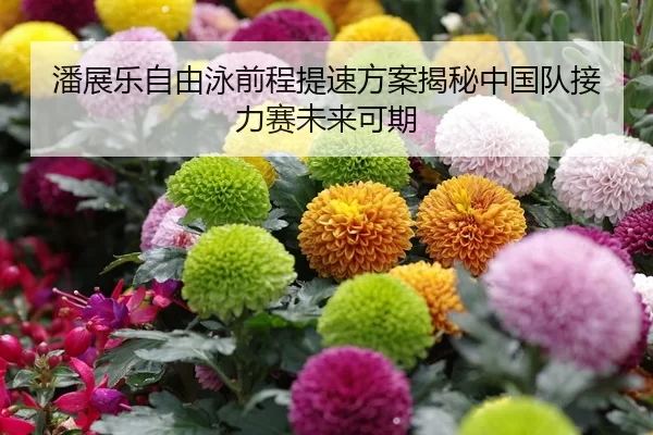 潘展乐自由泳前程提速方案揭秘中国队接力赛未来可期