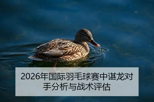2026年国际羽毛球赛中谌龙对手分析与战术评估