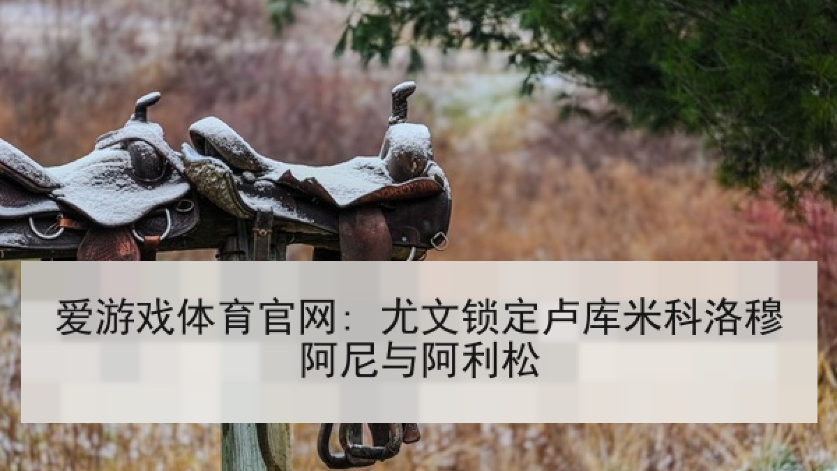 爱游戏体育官网: 尤文锁定卢库米科洛穆阿尼与阿利松