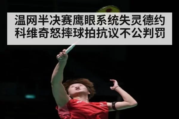 温网半决赛鹰眼系统失灵德约科维奇怒摔球拍抗议不公判罚